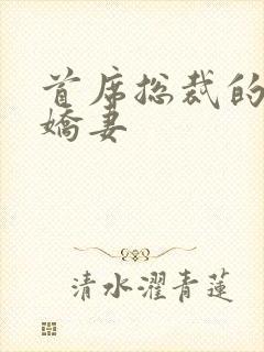 首席总裁的高冷娇妻