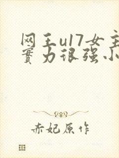 网王u17女主实力很强小说封面