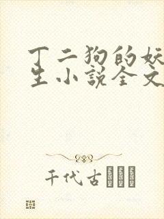 丁二狗的妖孽人生小说全文免费笔趣阁