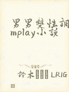 男男双性调教smplay小说