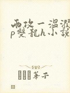 两攻一温润受3p双龙h小说