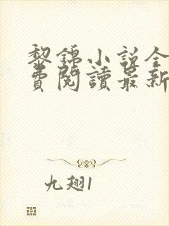 黎锦小说全文免费阅读最新章节封面