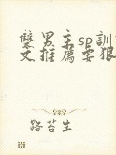 双男主sp训诫文推荐要狠的