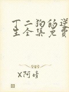 丁二狗的逆袭人生全集免费封面