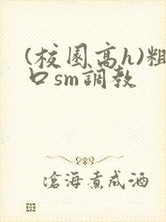 (校园高h)粗口sm调教