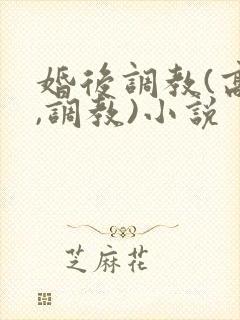 婚后调教(高h,调教)小说