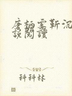 唐栖雾靳沉野小说阅读