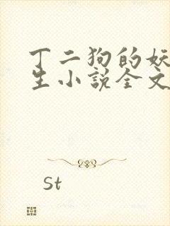 丁二狗的妖孽人生小说全文无删减封面