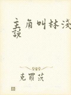 主角叫林浅的小说封面