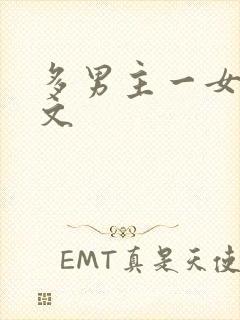 多男主一女主h文