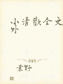 小清欢全文 番外封面