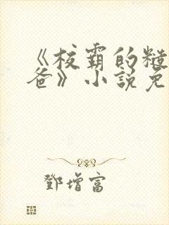 《校霸的糙汉爸爸》小说免费阅读