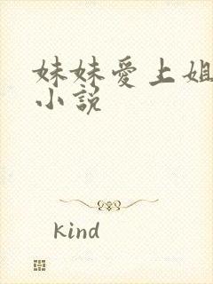 妹妹爱上姐夫的小说