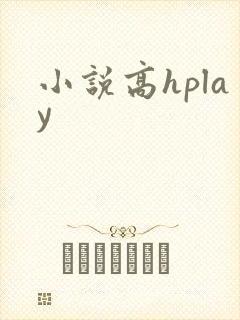 小说高hplay