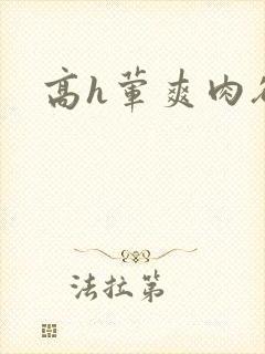 高h荤爽肉欲文