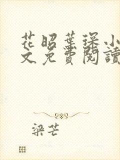 花昭叶琛小说全文免费阅读