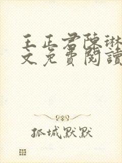 王正君陈琳洁全文免费阅读最新章节