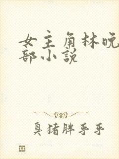 女主角林晚的全部小说