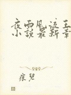 夜雨风流王铁柱小说最新章节更新内