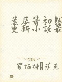 叶辰萧初然最快更新小说最新
