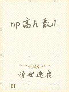 np高h 乱l