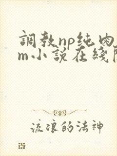 调教np纯肉sm小说在线阅读