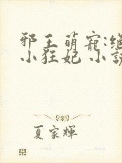 邪王萌宠:绝色小狂妃 小说封面