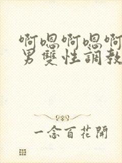 啊嗯啊嗯啊嗯男男双性调教sm