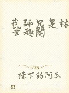 我师兄是林正英笔趣阁