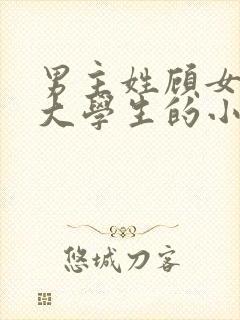 男主姓顾女主是大学生的小说