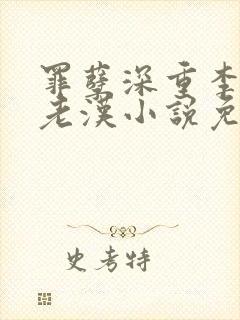 罪孽深重李茹王老汉小说免费全文封面