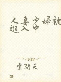 人妻少妇被猛烈进入中