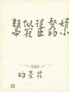 类似从赘婿到女帝宠臣的小说封面