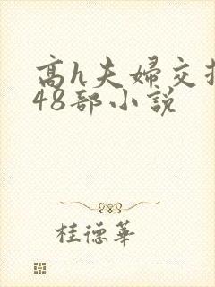 高h夫妇交换第48部小说