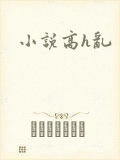 小说高h乱封面