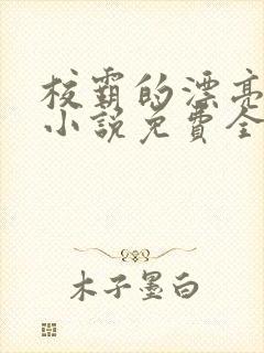 校霸的漂亮继父小说免费全文阅读