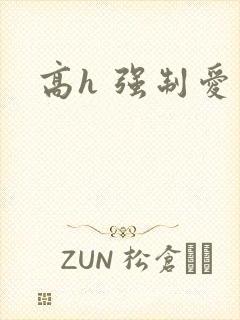 高h 强制爱