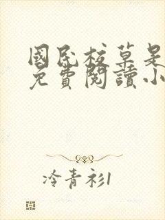 国民校草是女生免费阅读小说