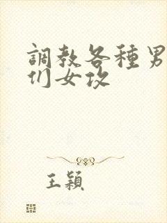 调教各种男总裁们女攻