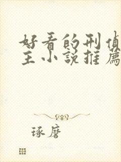 好看的刑侦双男主小说推荐