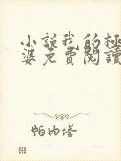 小说我的极品老婆免费阅读