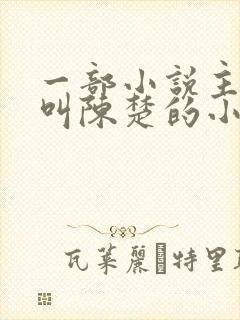 一部小说主人公叫陈楚的小说