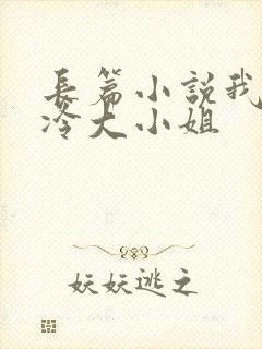 长篇小说我的高冷大小姐