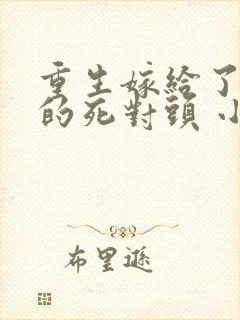 重生嫁给了前夫的死对头 小说