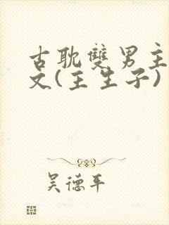 古耽双男主生子文(主生子)