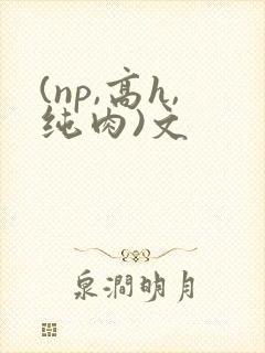 (np,高h,纯肉)文