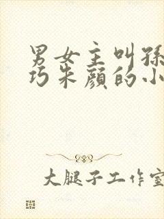 男女主叫孙哲叶巧朱颜的小说封面