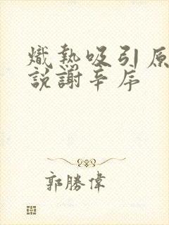 炽热吸引原著小说谢辛序