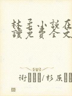 林柔小说在线阅读免费全文