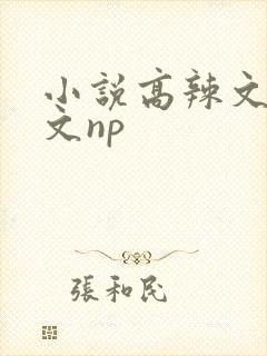 小说高辣文高h文np
